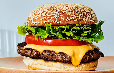 Donner Burger